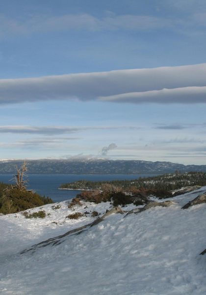 Богословка Авеню