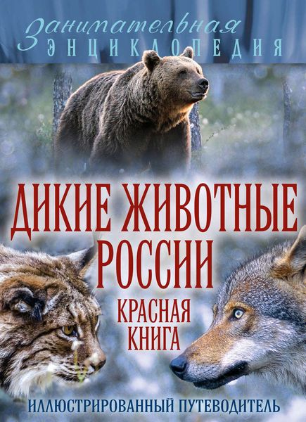 Дикие животные России. Красная книга. Иллюстрированный путеводитель