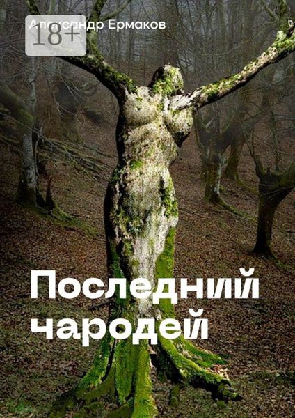 Последний чародей