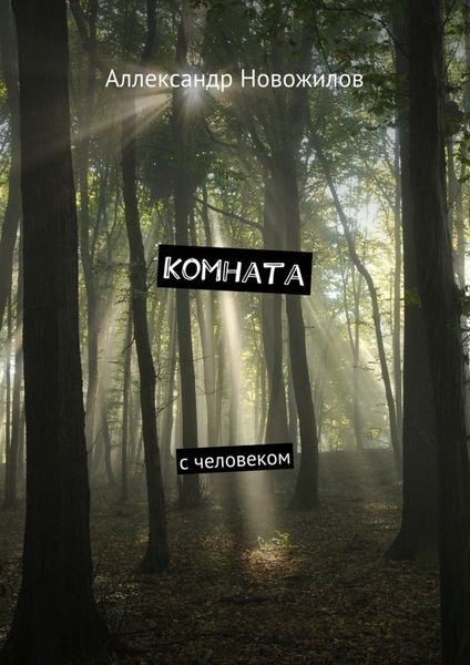 Комната. с человеком