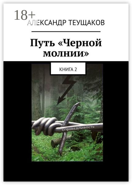 Путь «Черной молнии». Книга 2
