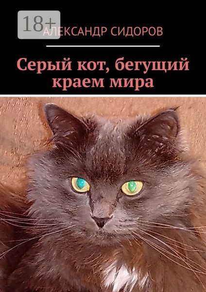 Серый кот, бегущий краем мира