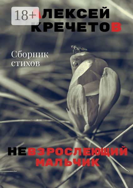 Невзрослеющий мальчик