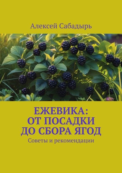 Ежевика: От посадки до сбора ягод. Советы и рекомендации