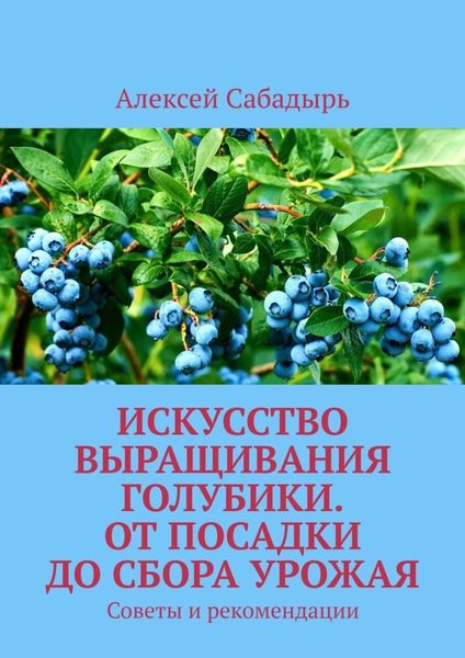 Искусство выращивания голубики. От посадки до сбора урожая. Советы и рекомендации