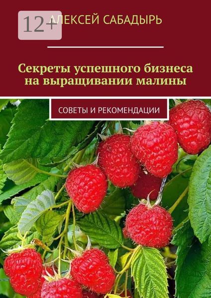 Секреты успешного бизнеса на выращивании малины. Советы и рекомендации