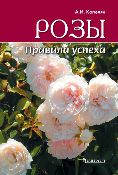 Розы. Правила успеха