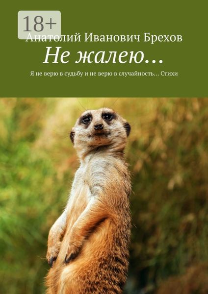 Не жалею… Я не верю в судьбу и не верю в случайность… Стихи