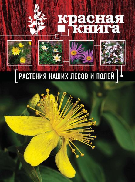 Красная книга. Растения наших лесов и полей