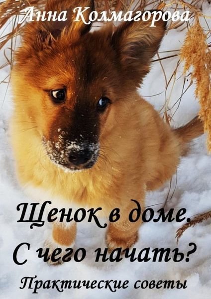 Щенок в доме. С чего начать? Практические советы