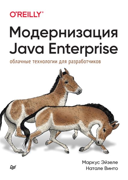 Модернизация Java Enterprise. Облачные технологии для разработчиков