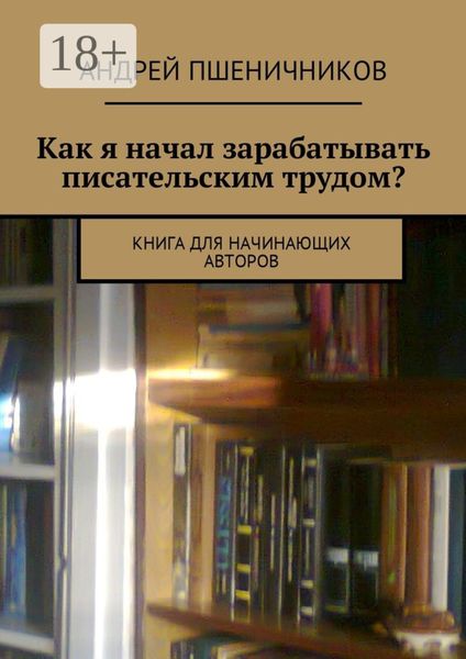 Как я начал зарабатывать писательским трудом? Книга для начинающих авторов