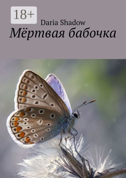 Мёртвая бабочка