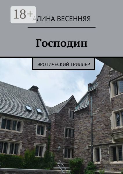 Господин. Эротический триллер