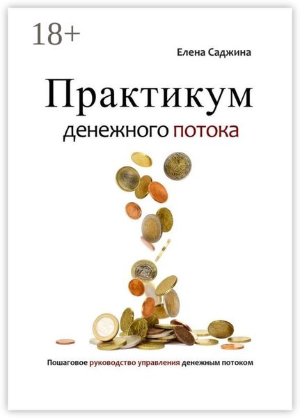 Практикум денежного потока. Пошаговое руководство управления денежным потоком