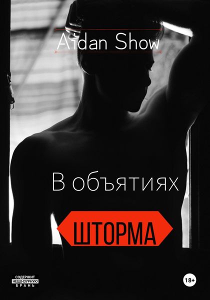 В объятиях Шторма