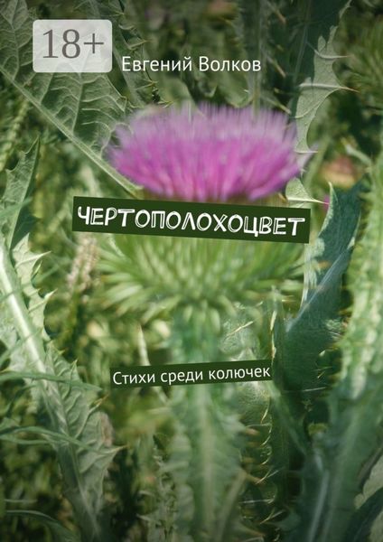 Чертополохоцвет. Стихи среди колючек