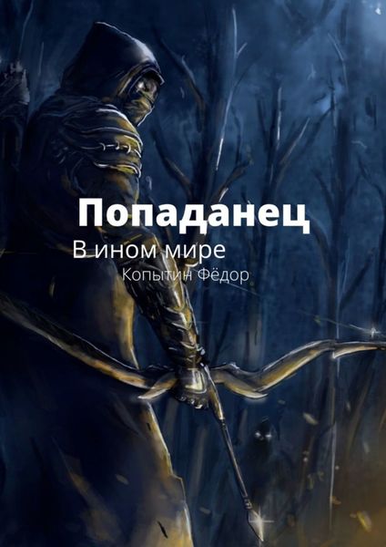 Попаданец. В ином мире