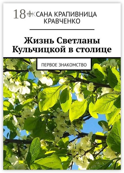 Жизнь Светланы Кульчицкой в столице. Первое знакомство