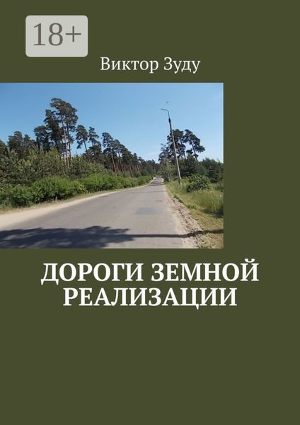 Дороги земной реализации