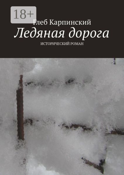 Ледяная дорога. Исторический роман