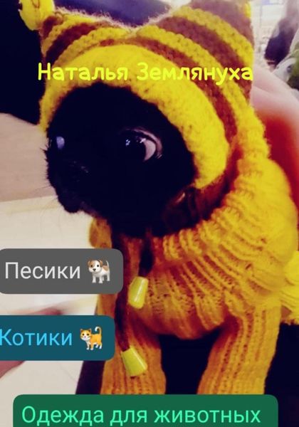 Одежда для животных