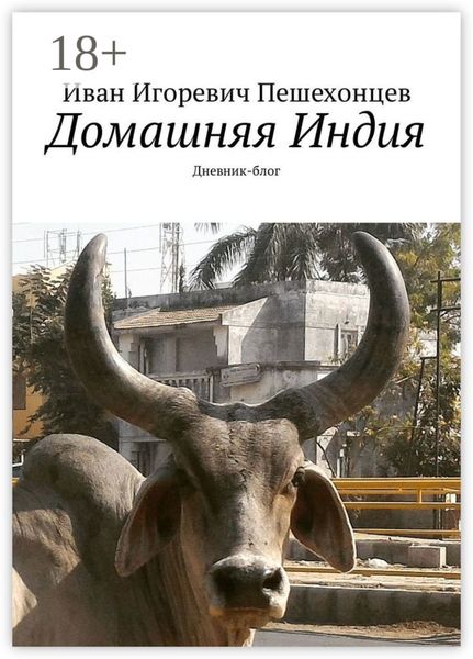 Домашняя Индия. Дневник-блог