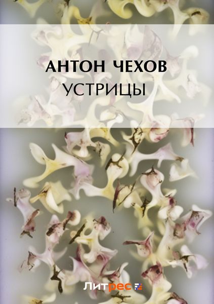 Устрицы