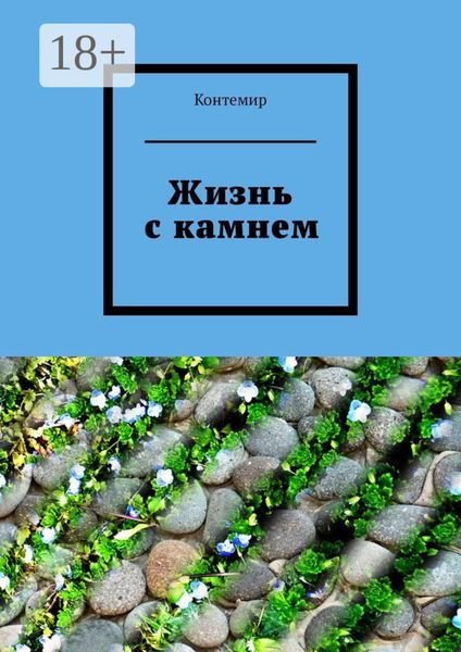 Жизнь с камнем
