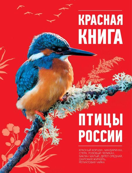 Красная книга. Птицы России