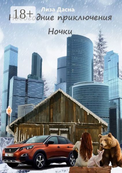 Новогодние приключения Ночки