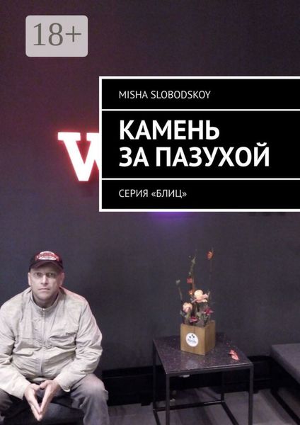 Камень за пазухой. Серия «Блиц»