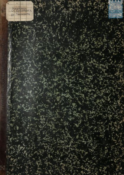 От Оренбурга до Ташкента: путевой очерк: с 7 отдельными листами рисунков и 22 рисунками в тексте