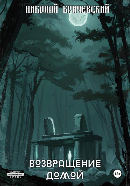 Возвращение домой