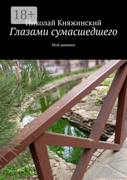 Глазами сумасшедшего. Мой дневник