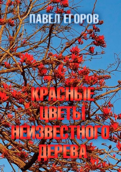 Красные цветы неизвестного дерева