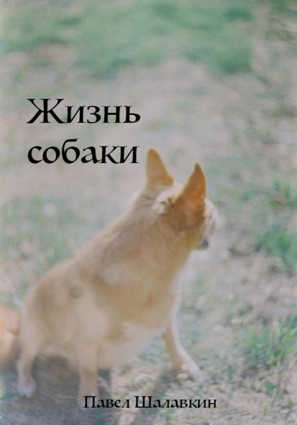 Жизнь собаки
