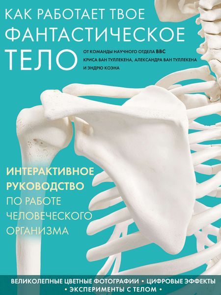 Как работает твое фантастическое тело
