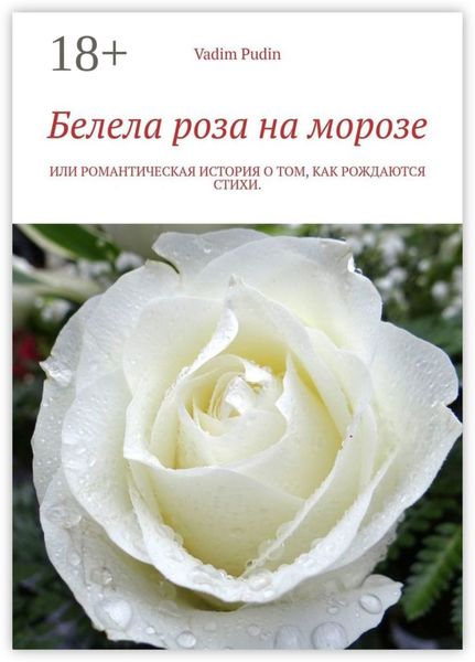 Белела роза на морозе. Или романтическая история о том, как рождаются стихи