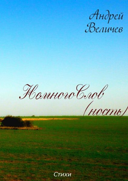 НемногоСлов (ность)