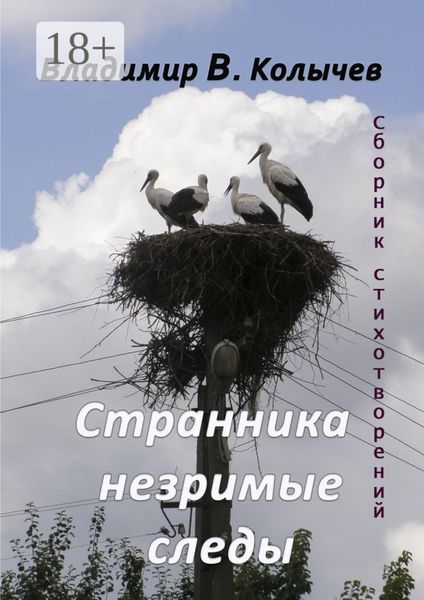 Странника незримые следы