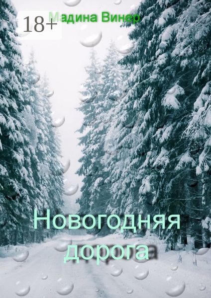 Новогодняя дорога