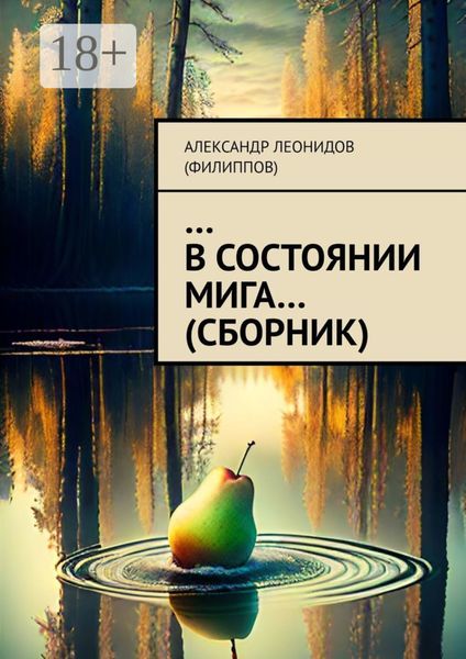 …В состоянии мига…