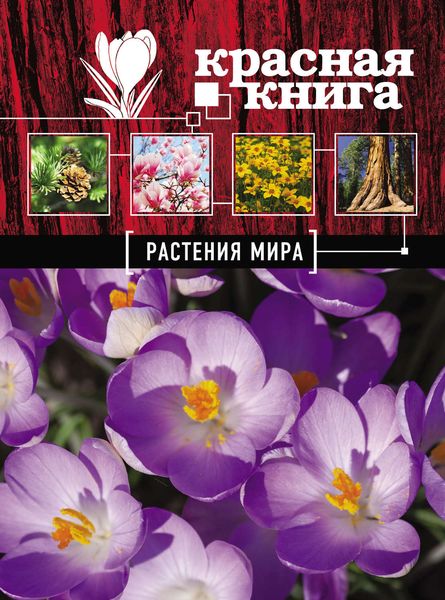 Красная книга. Растения мира