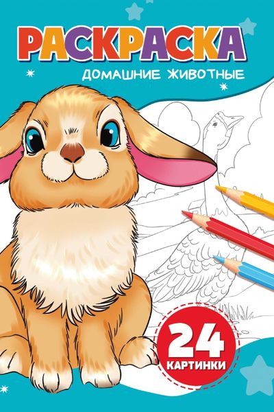 Раскраска. Домашние животные