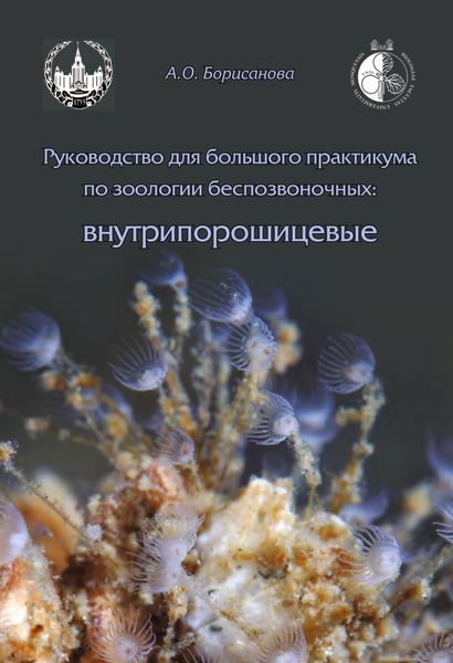 Руководство для большого практикума по зоологии беспозвоночных. Внутрипорошицевые
