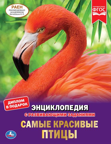 Самые красивые птицы