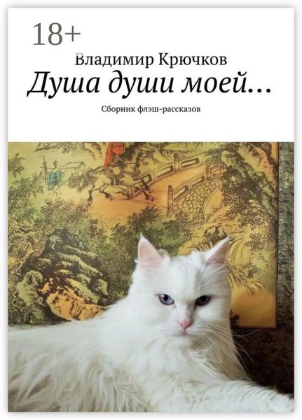 Душа души моей… Сборник флэш-рассказов