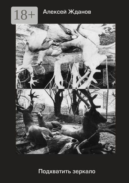 Подхватить зеркало. Роман с самим собой