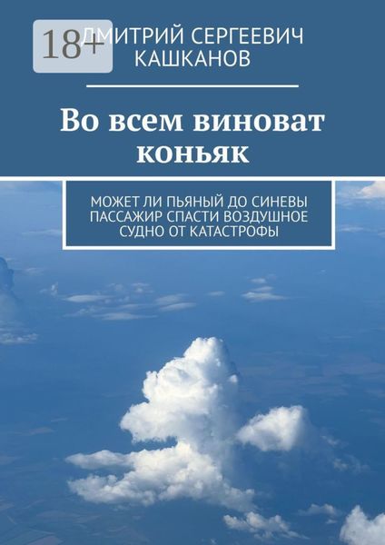 Во всем виноват коньяк. Может ли пьяный до синевы пассажир спасти воздушное судно от катастрофы